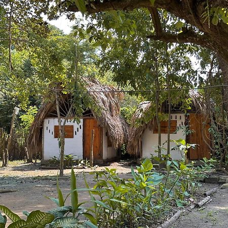 La Aldea Hostel, Camping Y Hamacas Palomino Exteriör bild