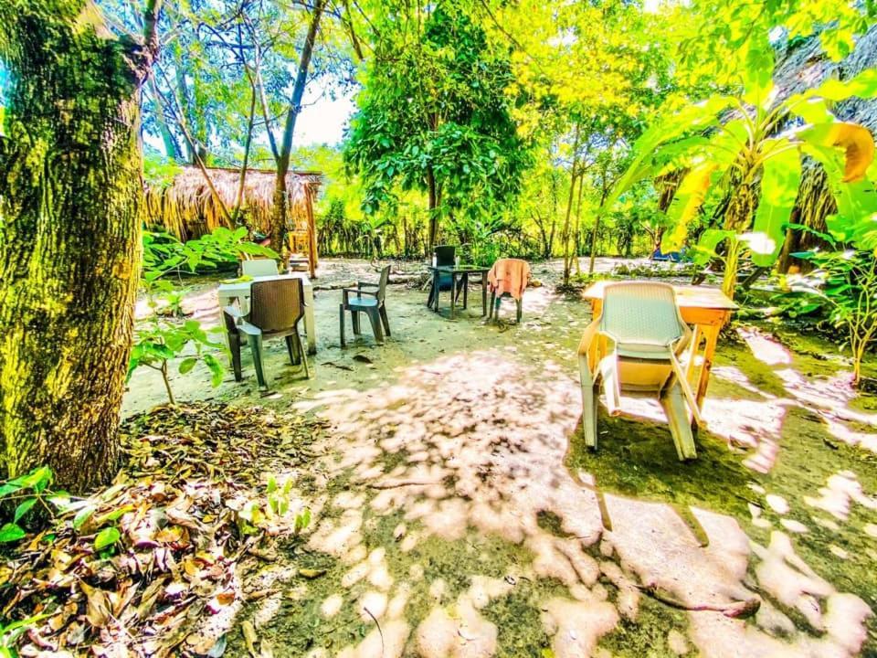 La Aldea Hostel, Camping Y Hamacas Palomino Exteriör bild