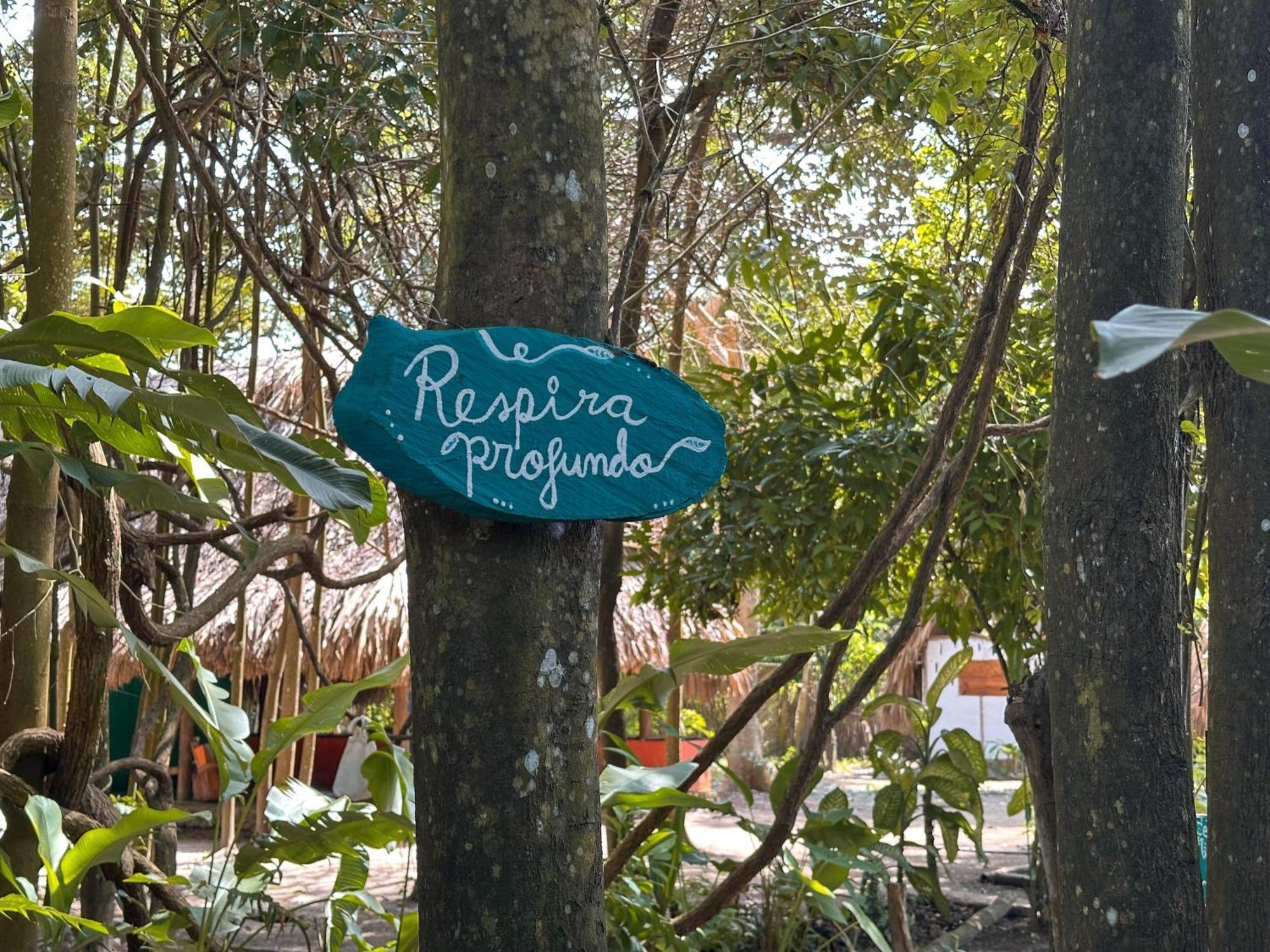 La Aldea Hostel, Camping Y Hamacas Palomino Exteriör bild