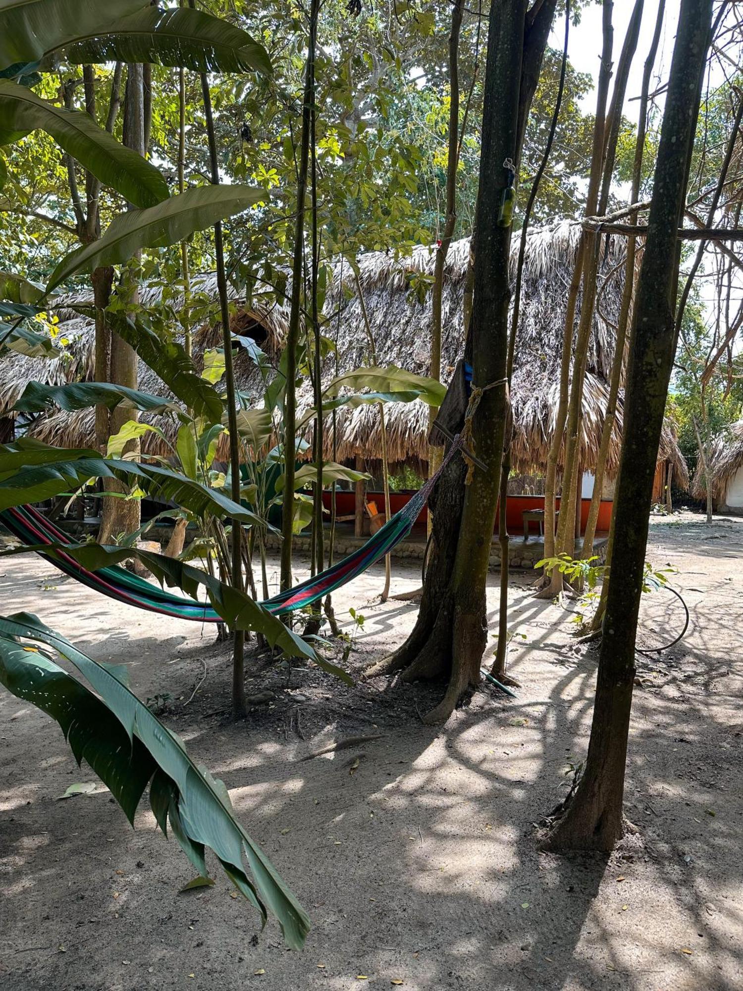 La Aldea Hostel, Camping Y Hamacas Palomino Exteriör bild