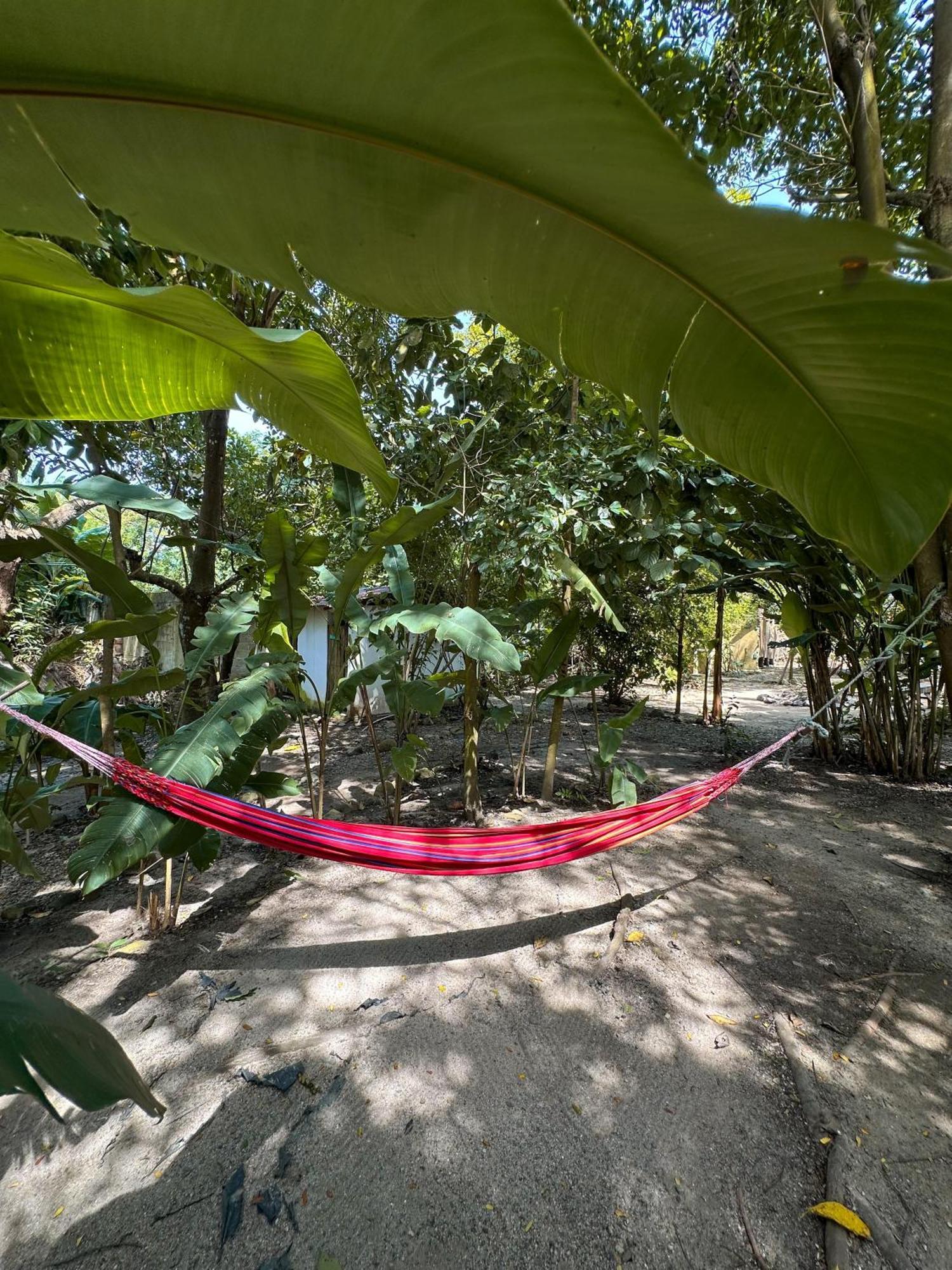 La Aldea Hostel, Camping Y Hamacas Palomino Exteriör bild