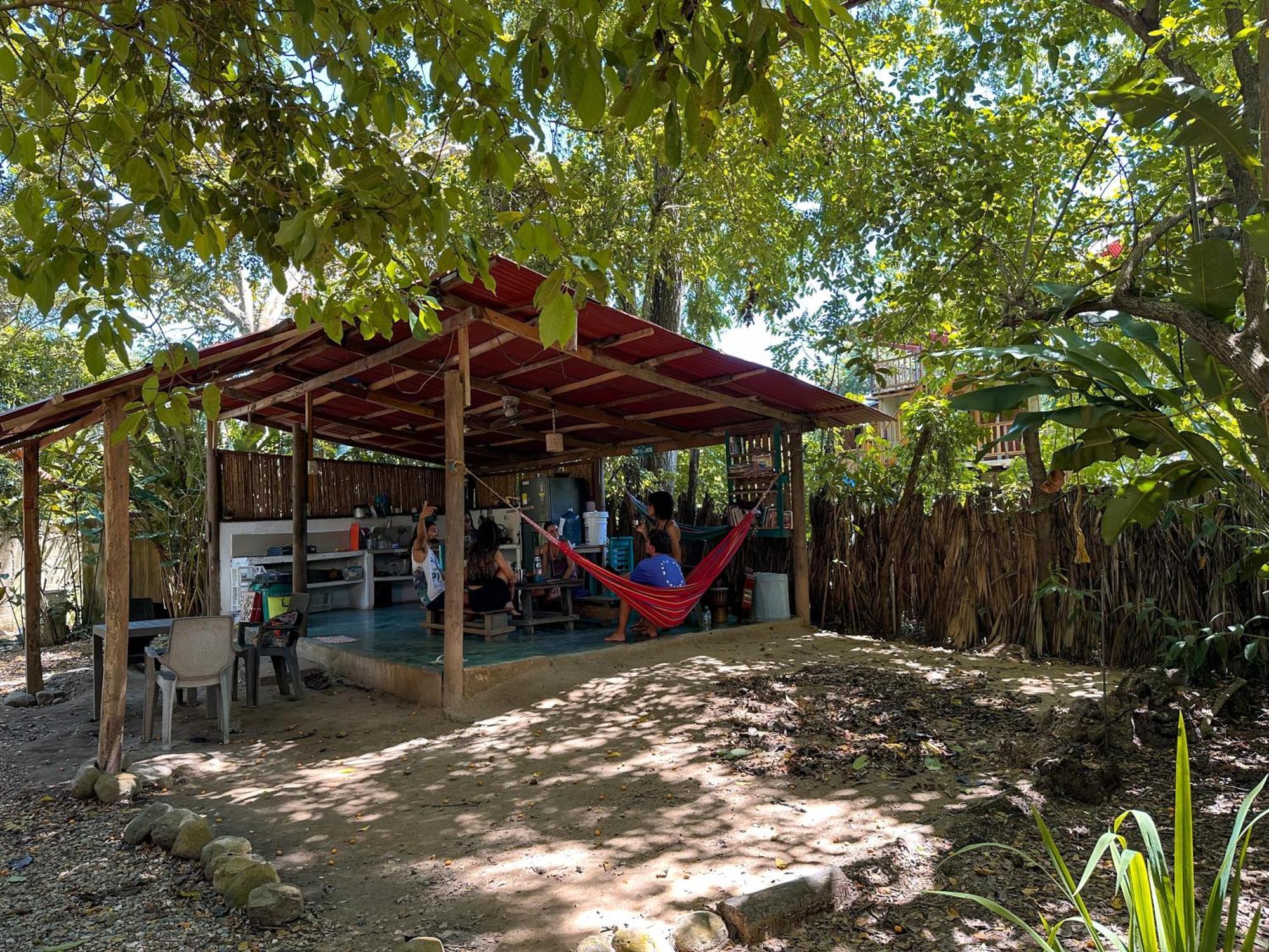 La Aldea Hostel, Camping Y Hamacas Palomino Exteriör bild